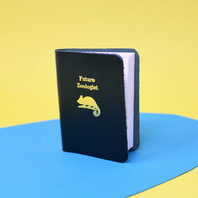Future Mini Books