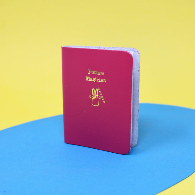 Future Mini Books