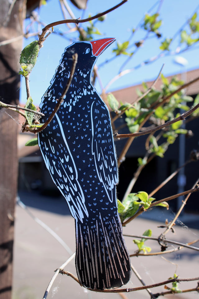 Rook in a Book - Bookmark